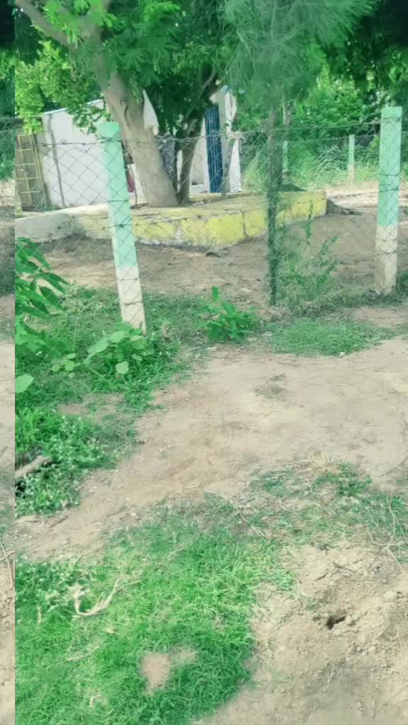 @Amsavarathan