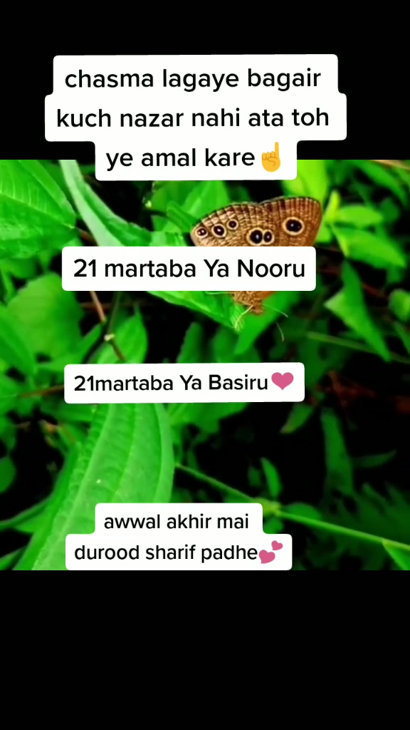 @tayyaba💕