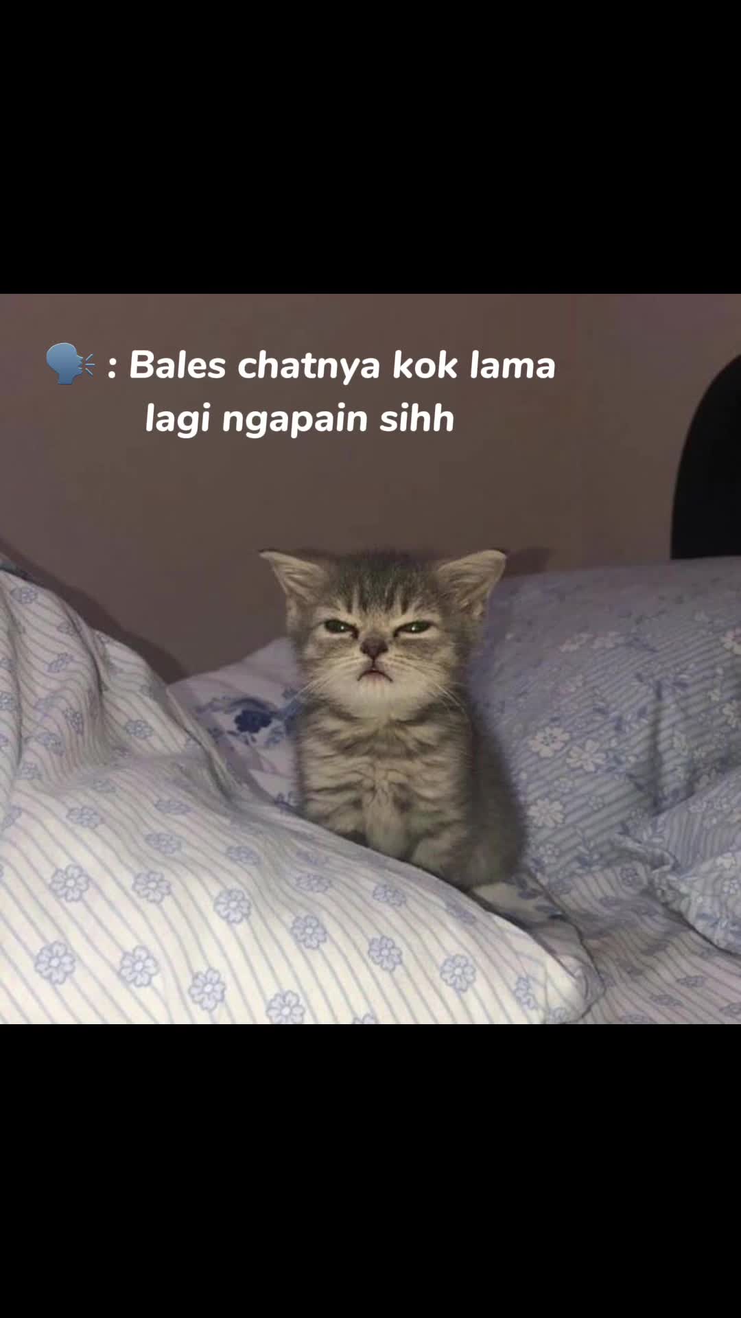 @anakayam🎈