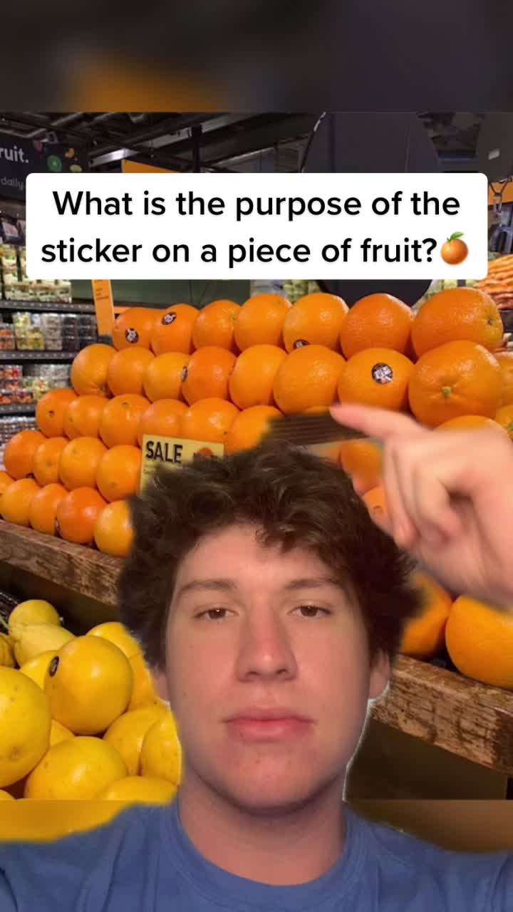 @Tanner Lane