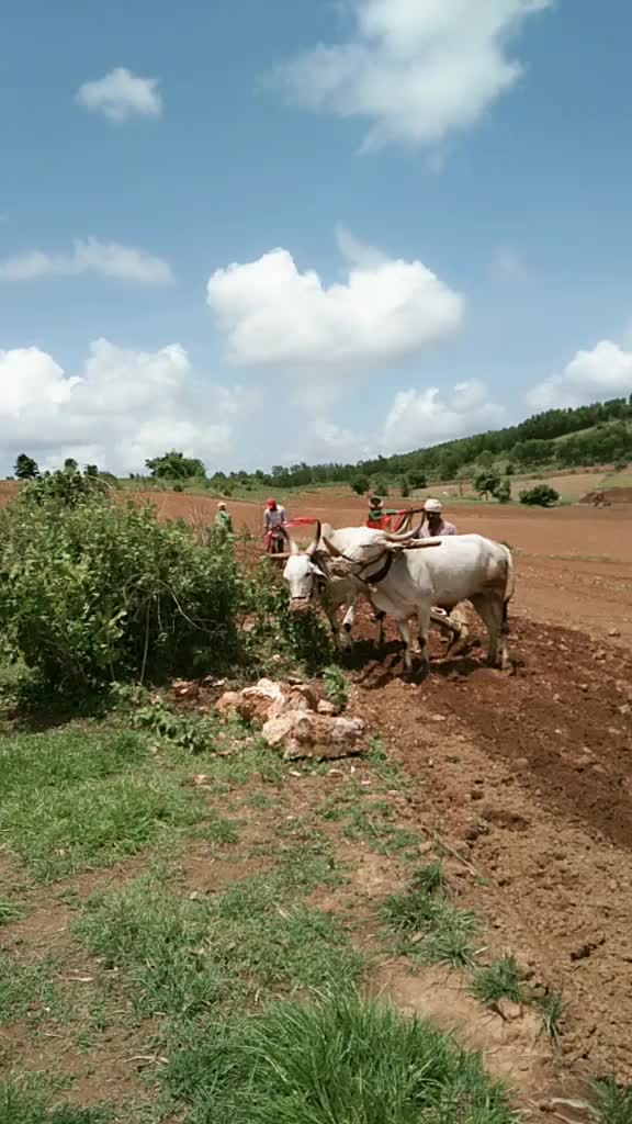 @Basavaraj shivamogga