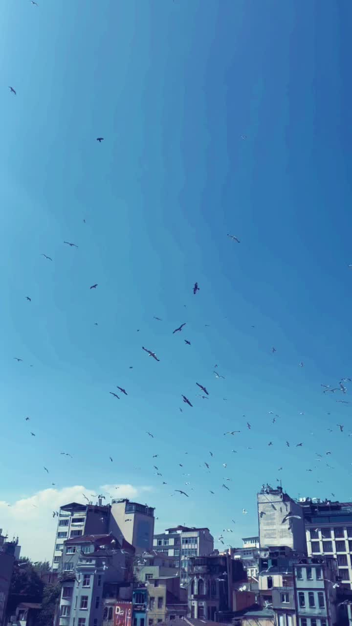 @🦂akrep kadını🦂