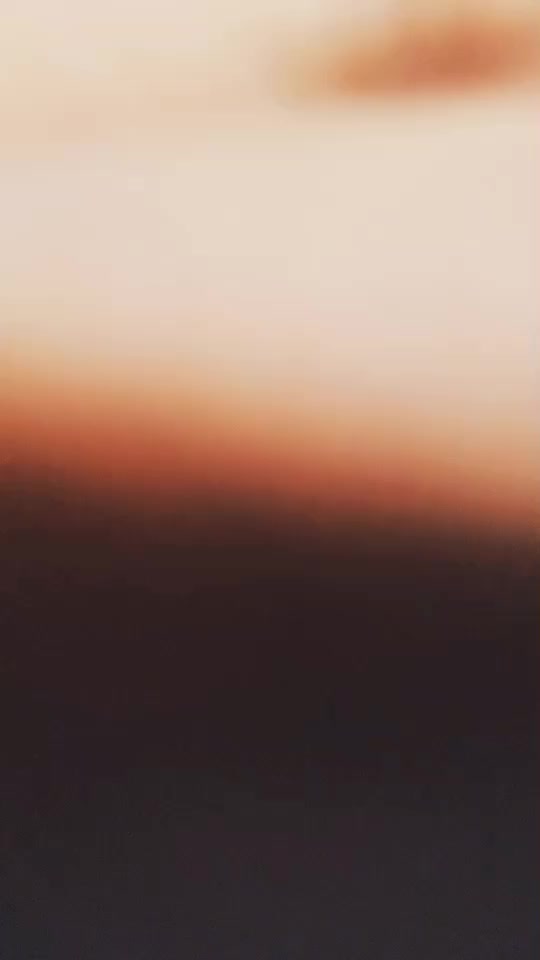 @Shweta Negi