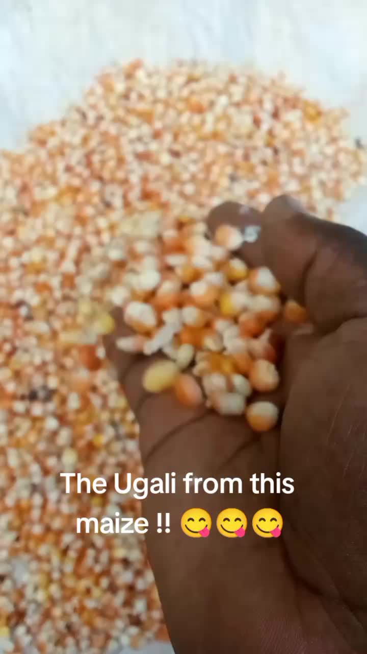 @Chef Mwitu🥕🍜🥨🍟🍔🍖