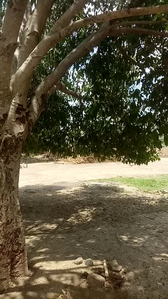 @SAGAR KHULAPE