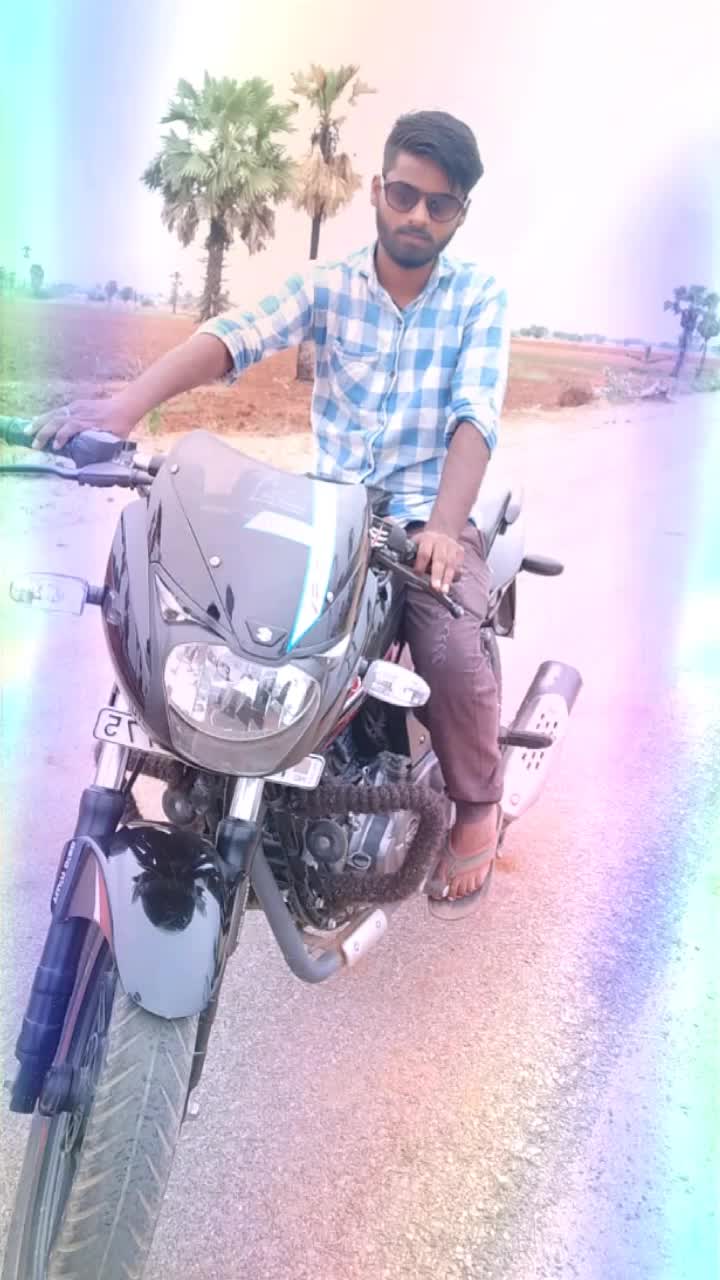 @Beard Dragon Rebel