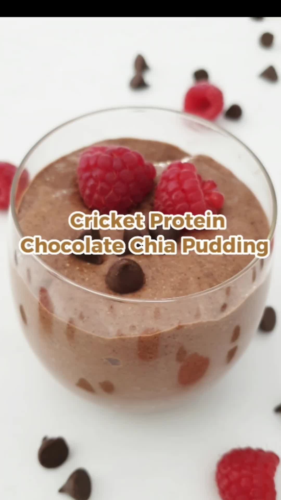 @proteincricket