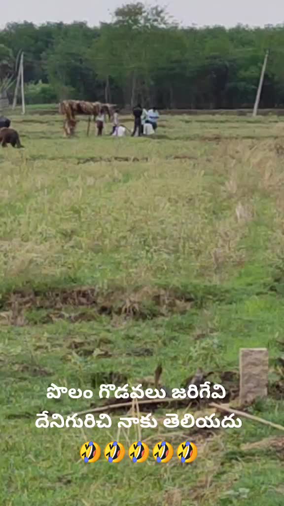 @Raghava Gonila