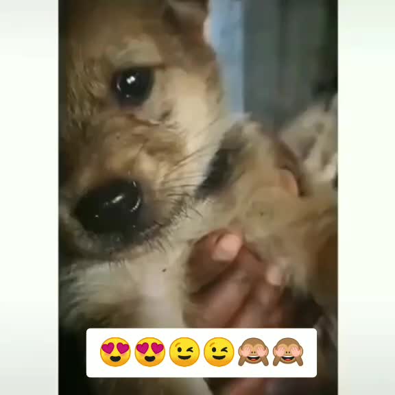 @😍Manic_🖤_Psycho😍