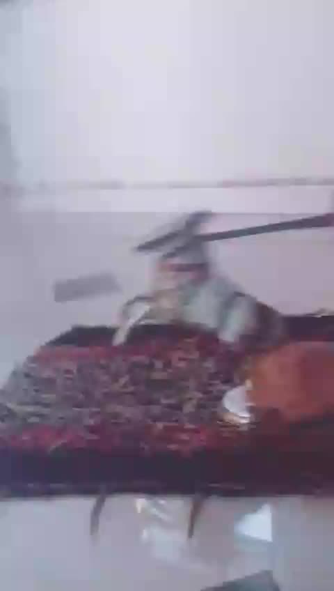 @Rajubhai Dhadal