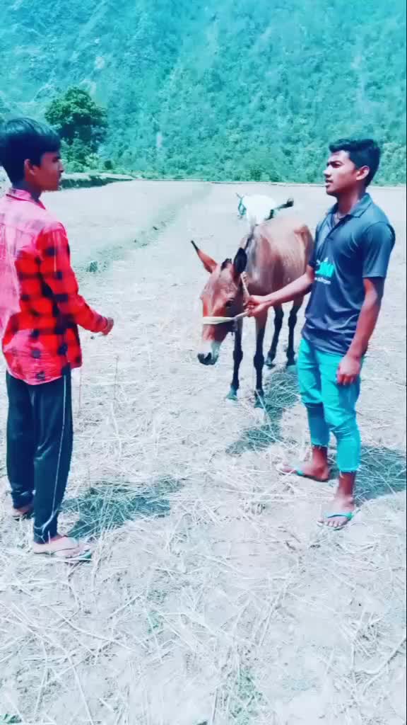 @Sachin Singh