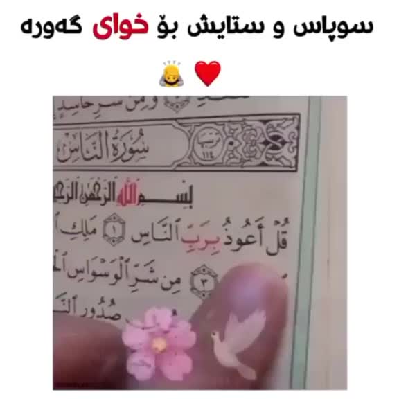 @Radwan. xalid