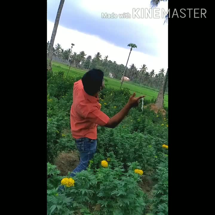 @user071582