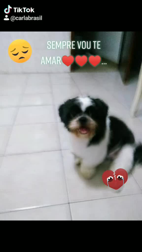 @Pithuco_fofinho