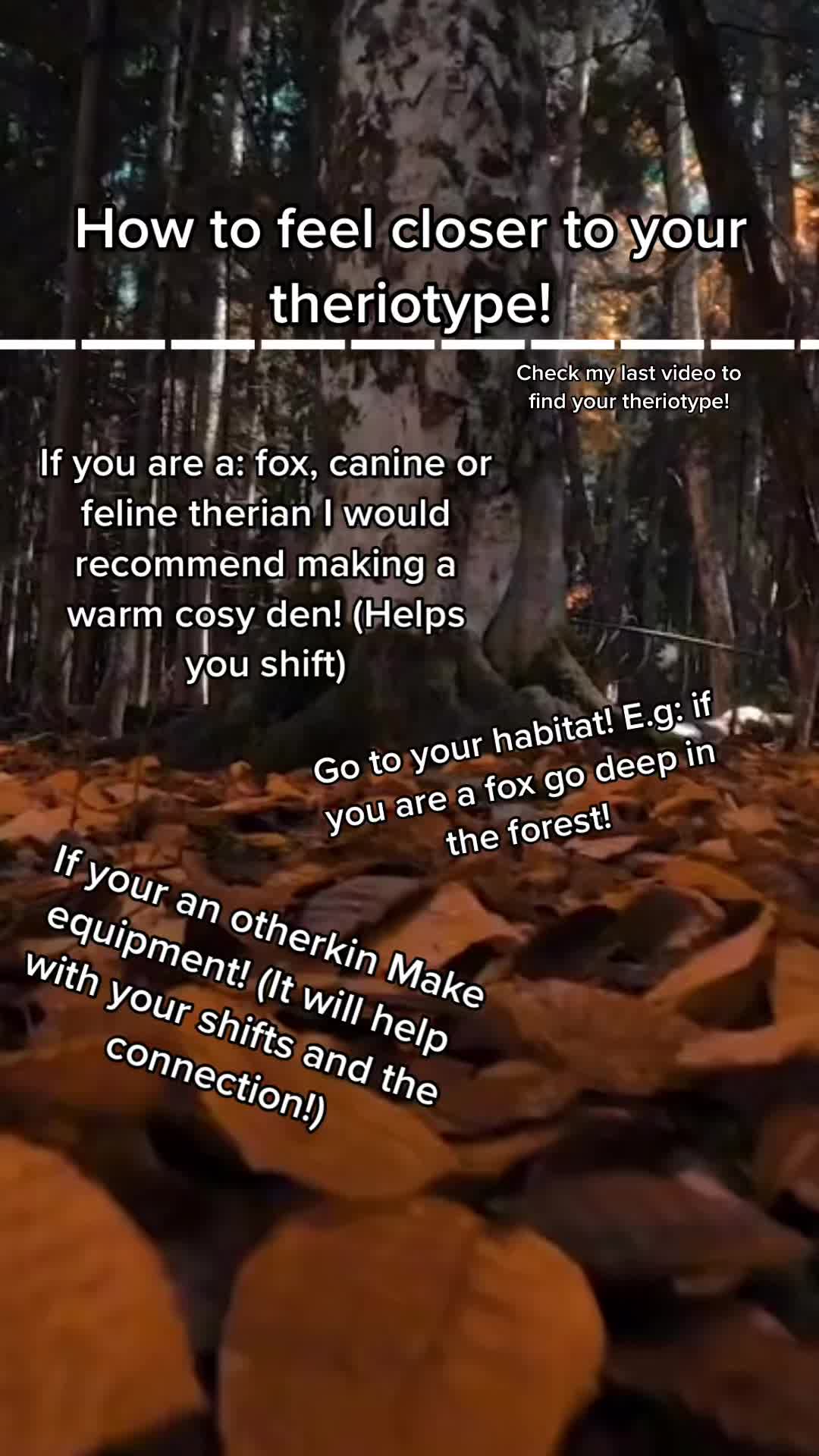 @｡･:*˚:✧｡𝗞𝗜𝗔𝗥𝗘𝗬𝗔