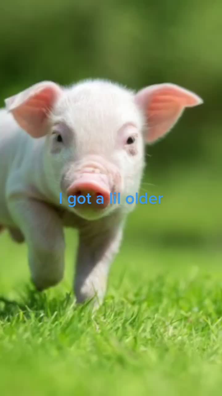@John Lunghi
