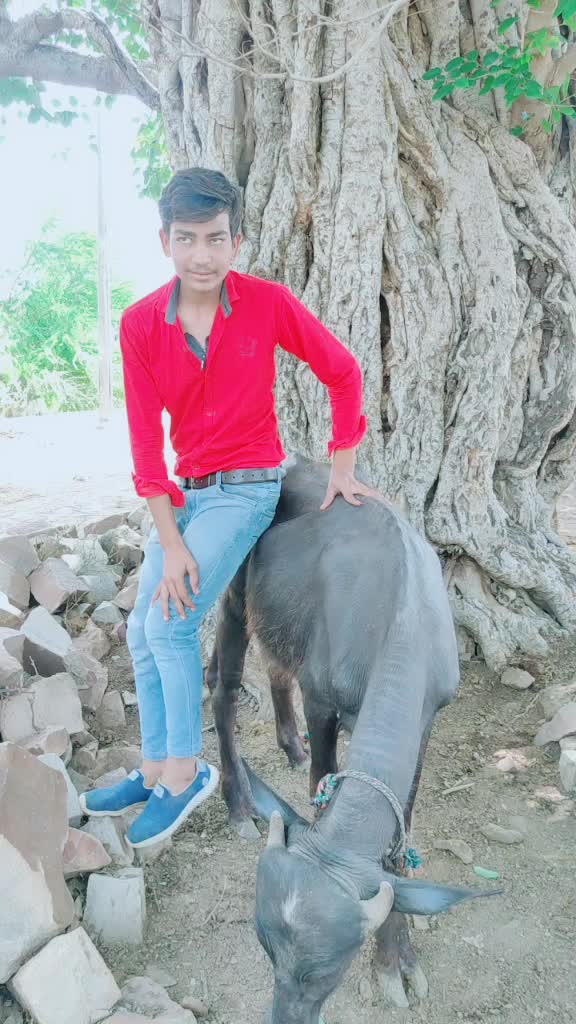 @pandit boy