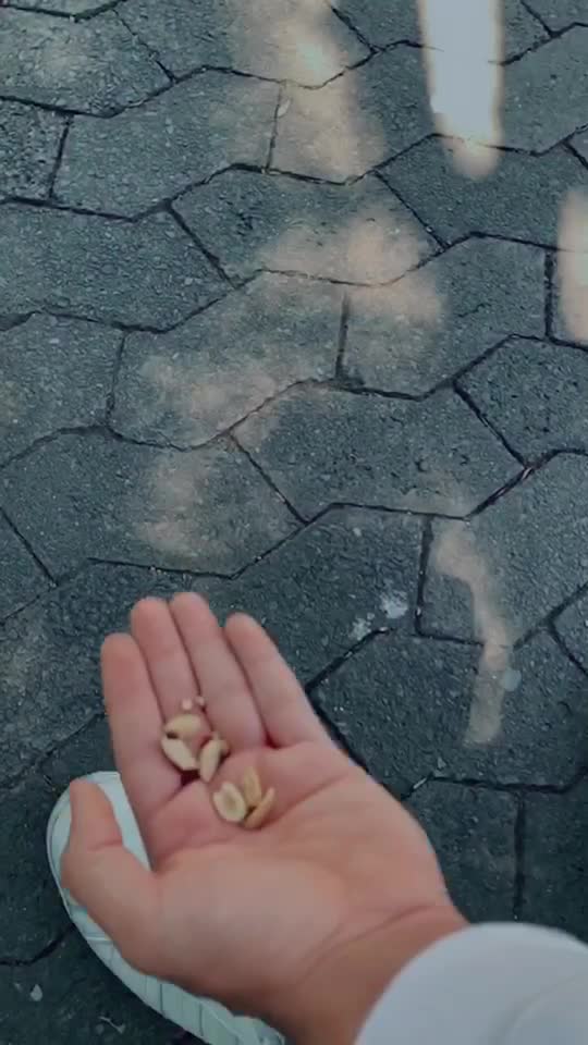@๐ู๐๐๐ู๐