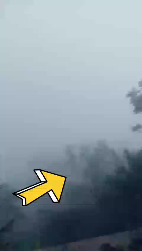 @user858146