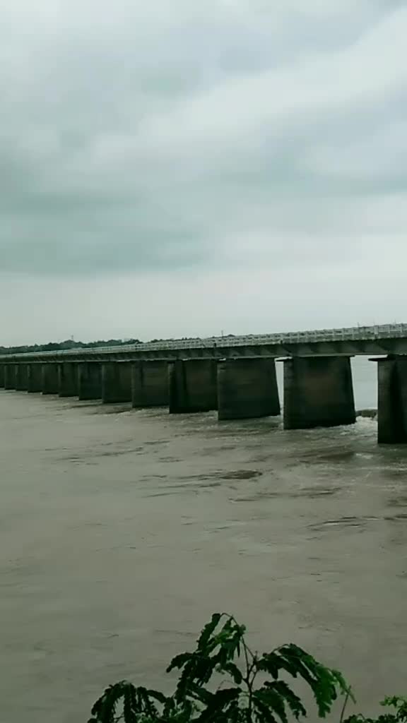 @pritimayee