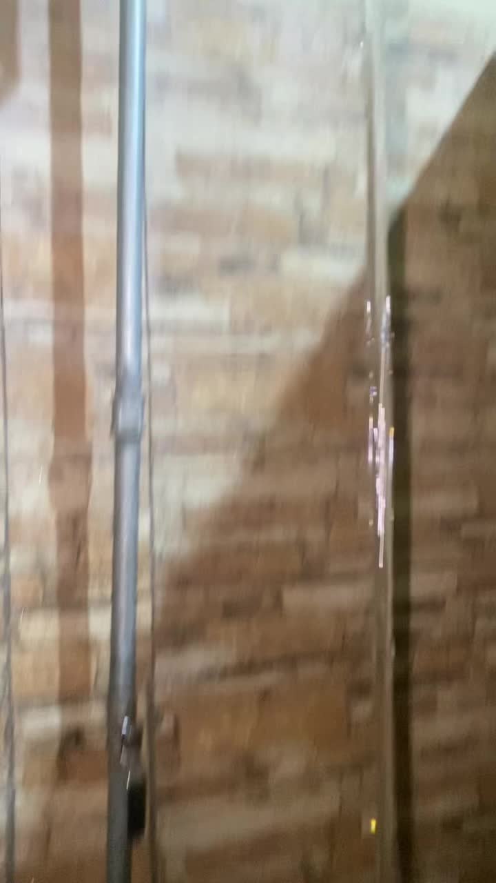 @Alex González🤠38