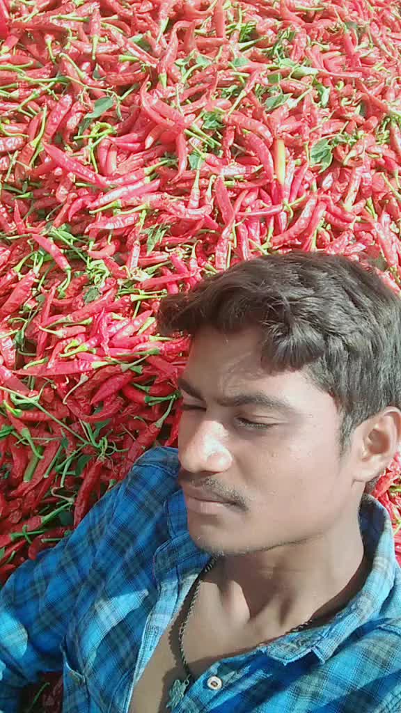 @arjun kumar7036