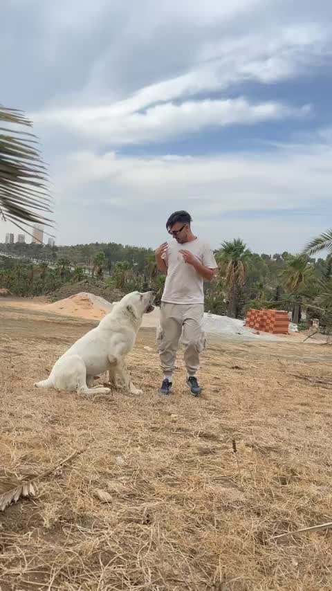 @PAYPOZ