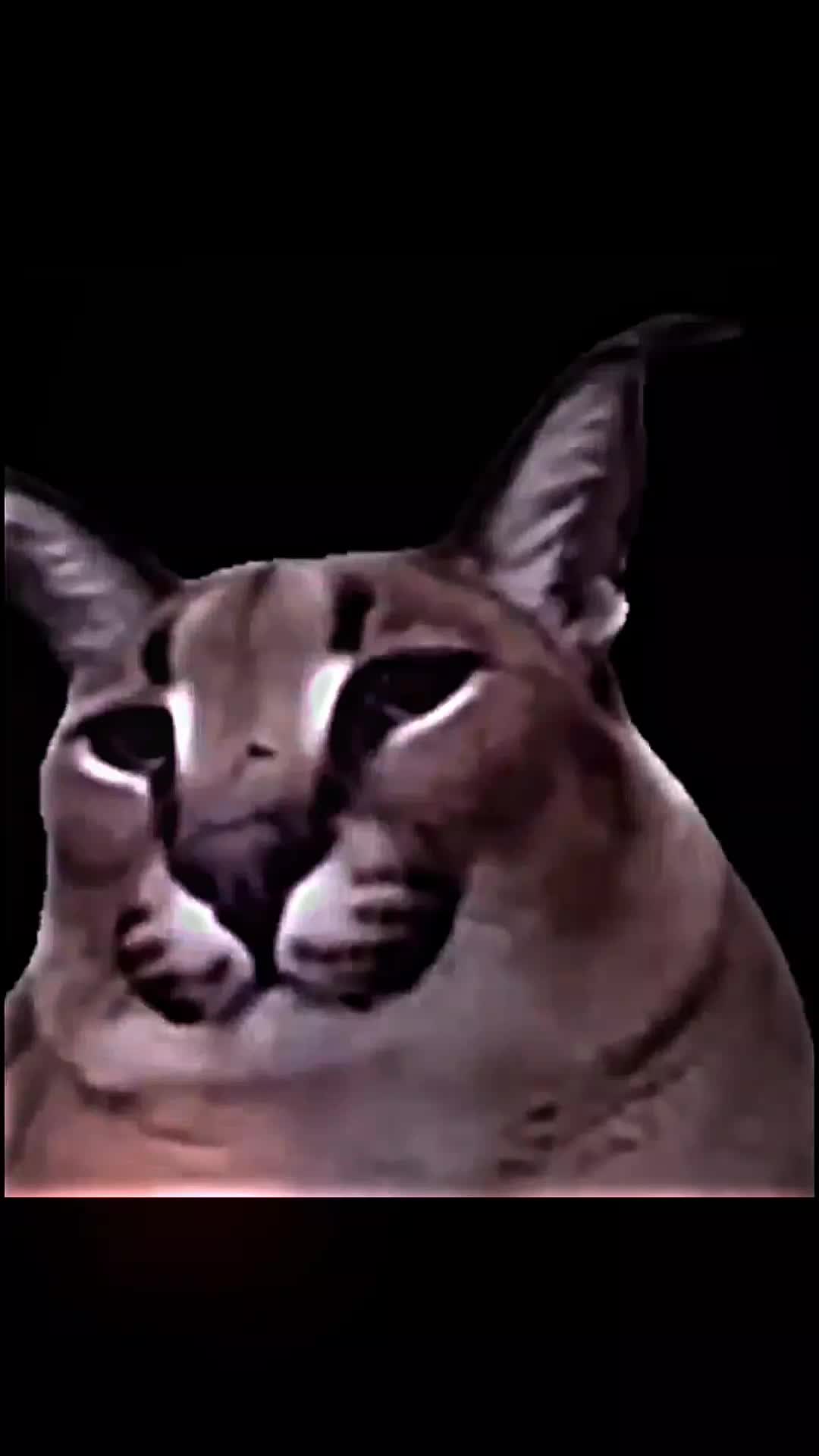 @KxRTz
