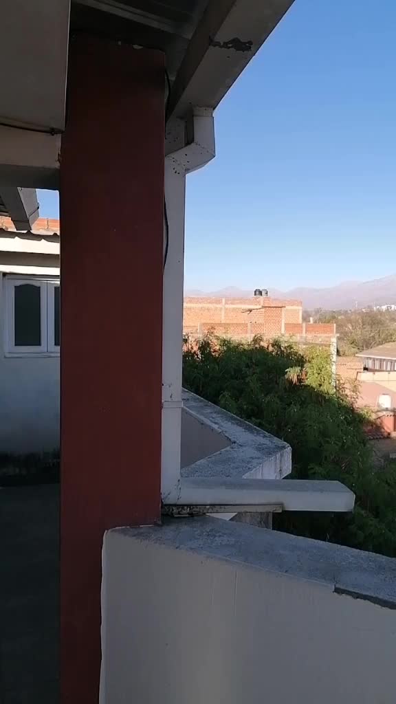 @omar.avila_o