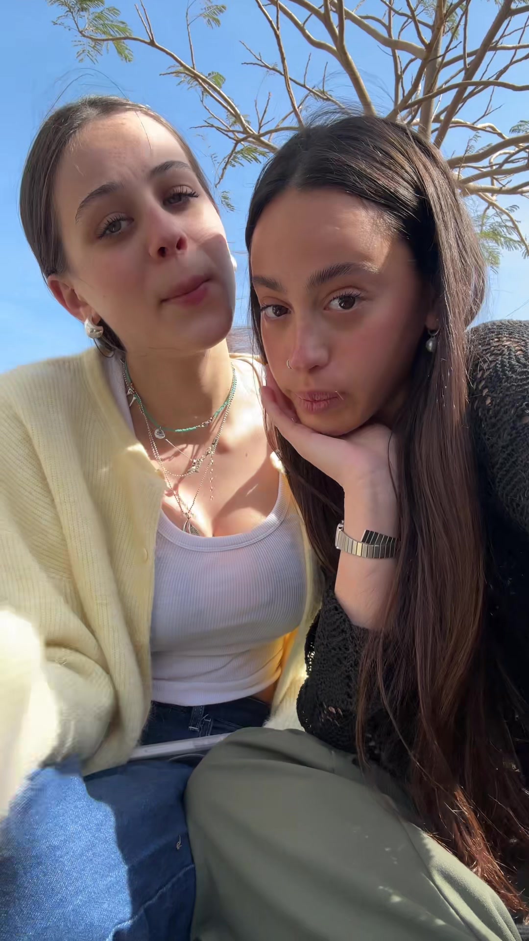 @einavschik