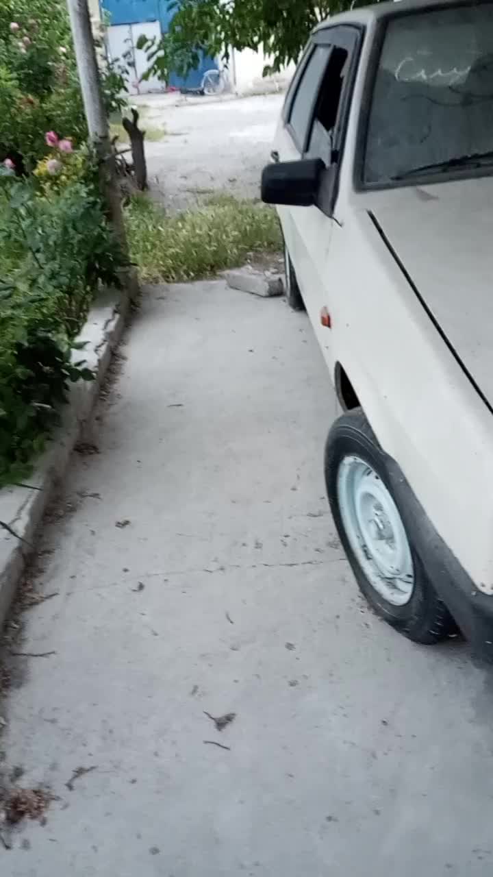 @✵𝑴𝑬𝑴𝑴𝑬𝑫𝑶𝑽✵