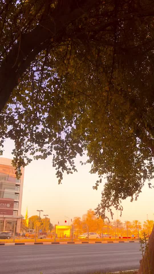 @ajnaz pt