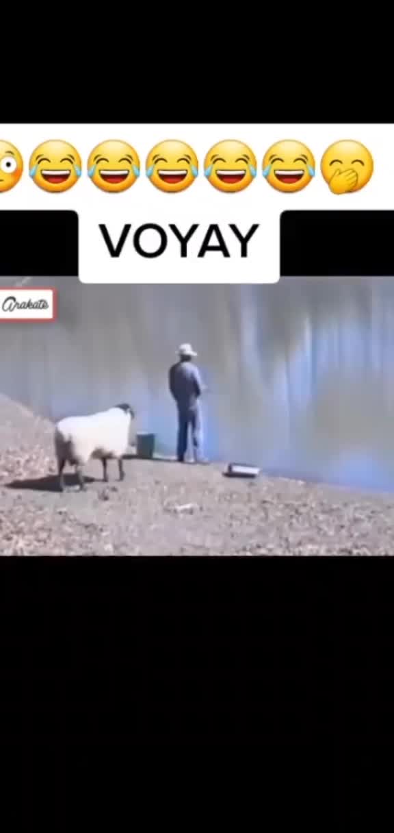@user7400495336214