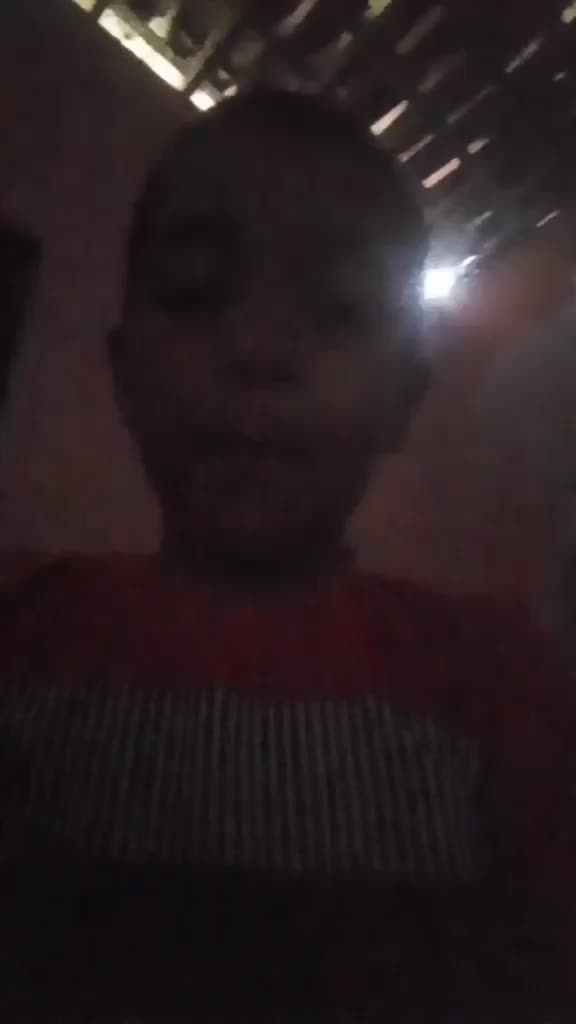 @carlosjunior5030