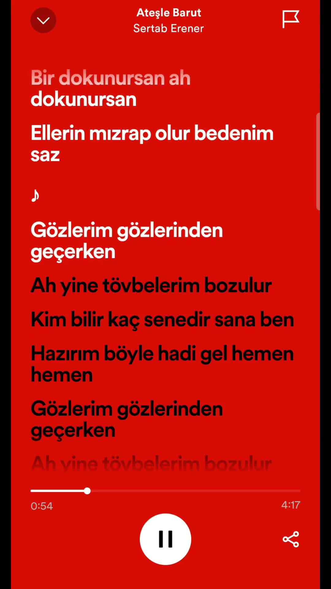 @spotifyy top