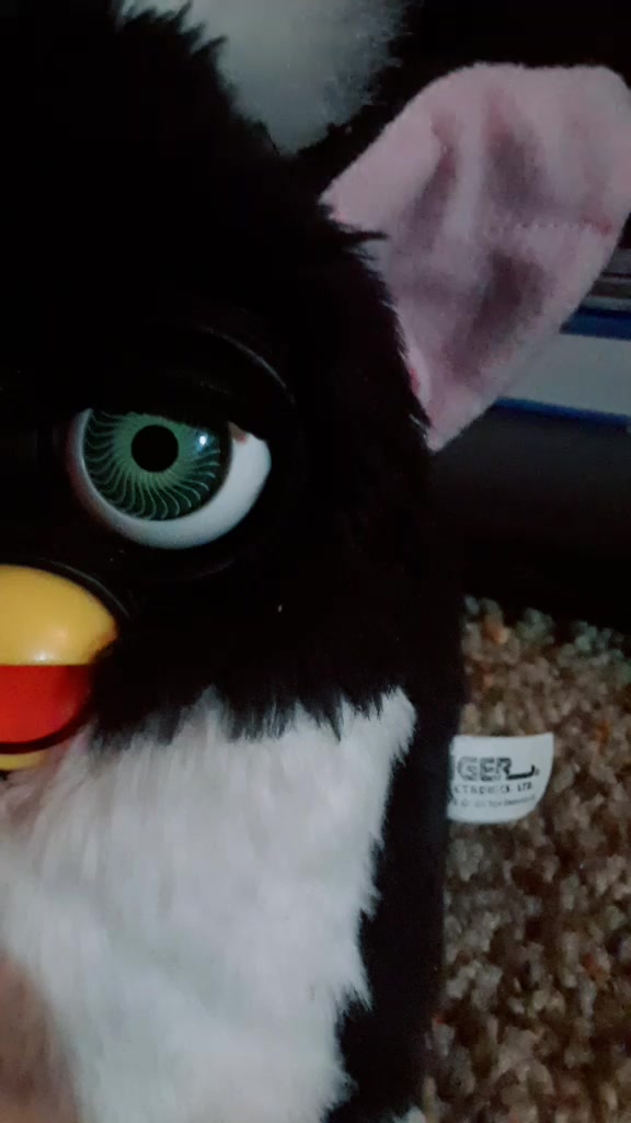 @I need more furbs