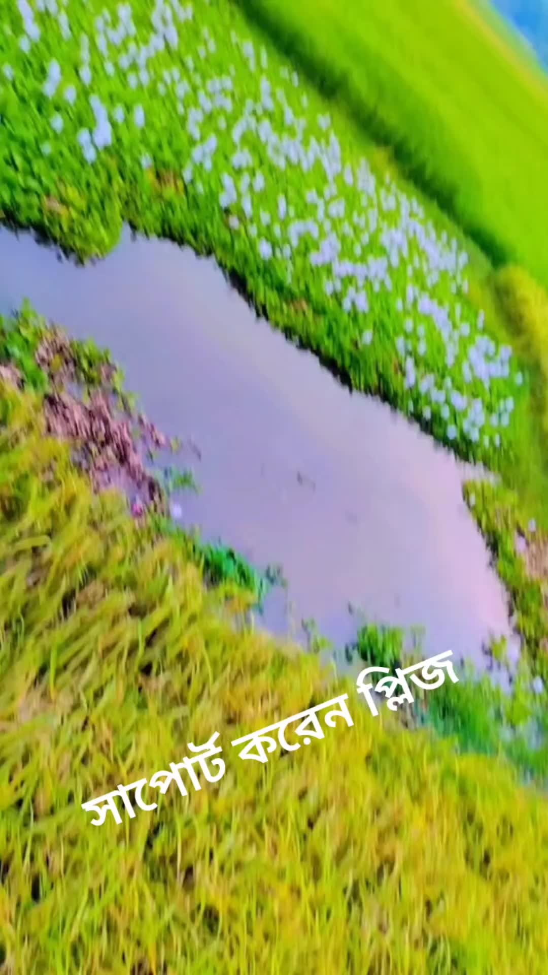 @Wer sorif 1234