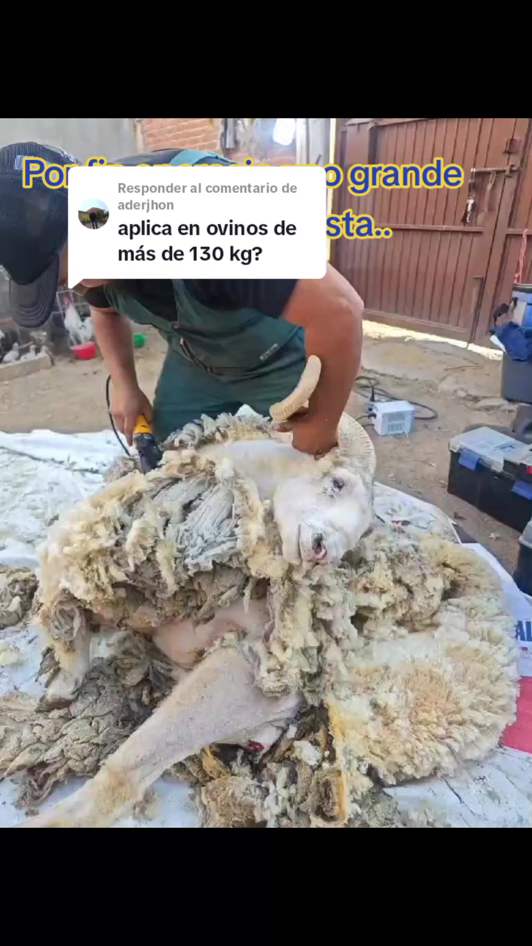@ASAGESP