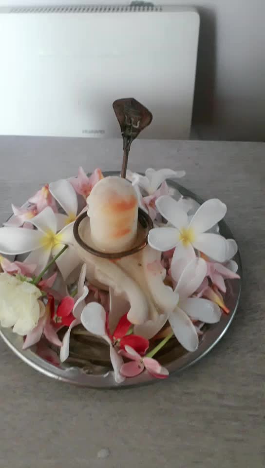 @Dog lovers