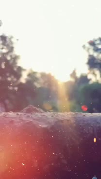 @TEAMRJ 🔥