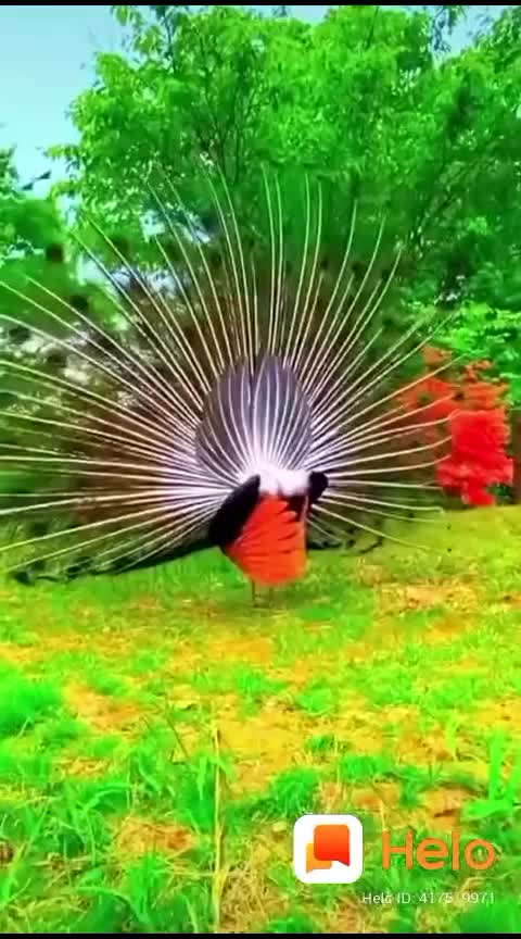 @Latha P