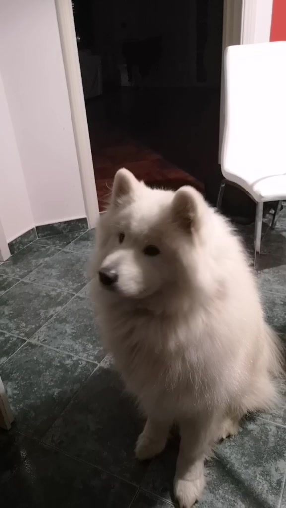 @daily.dose.of.archie