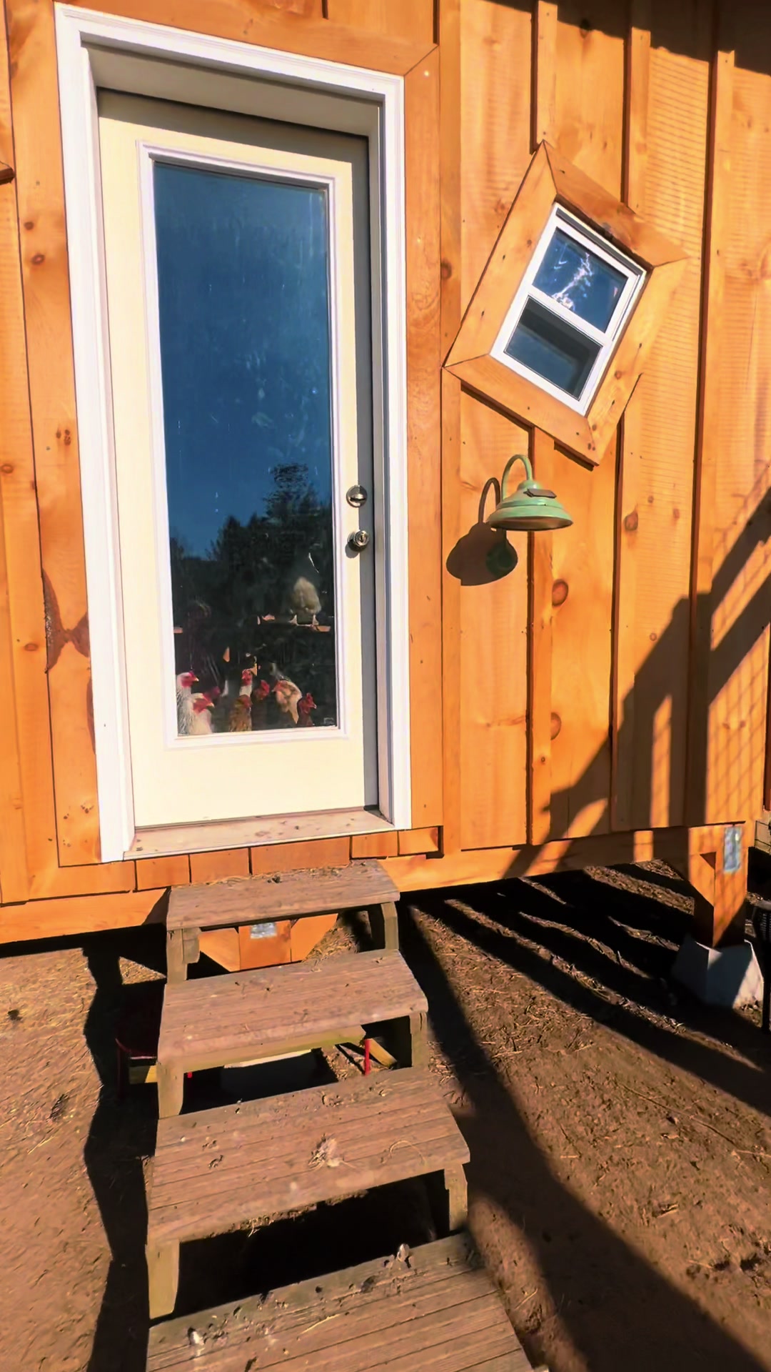 @Unshackled Hearts Ranch