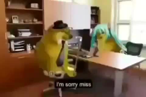 @Jedi Rook