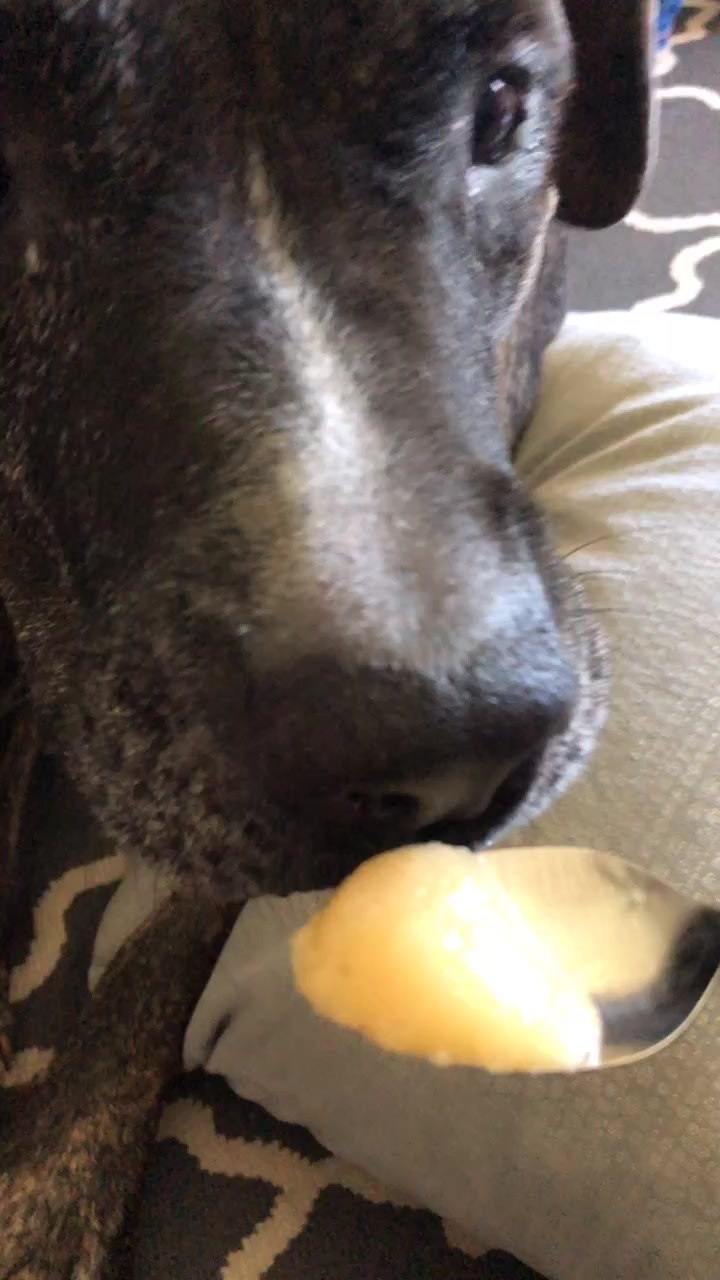@cuddlyanimals1022