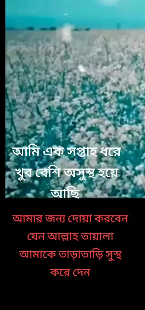 @আলোর পথ ২৪