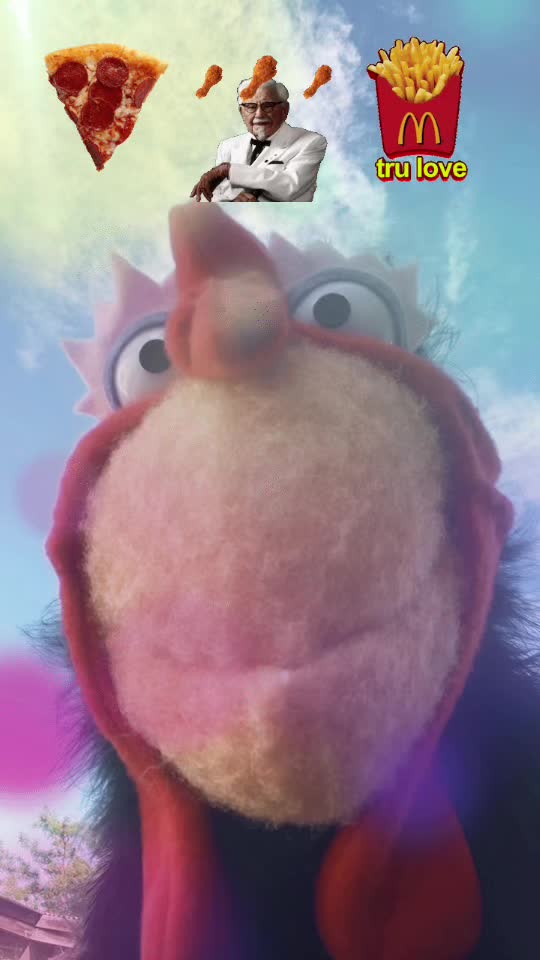 @The Doogles
