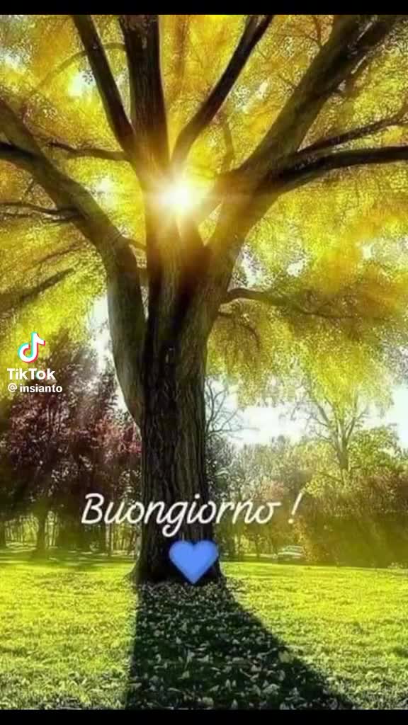 @mariaal 7416