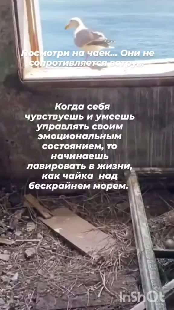 @Екатерина