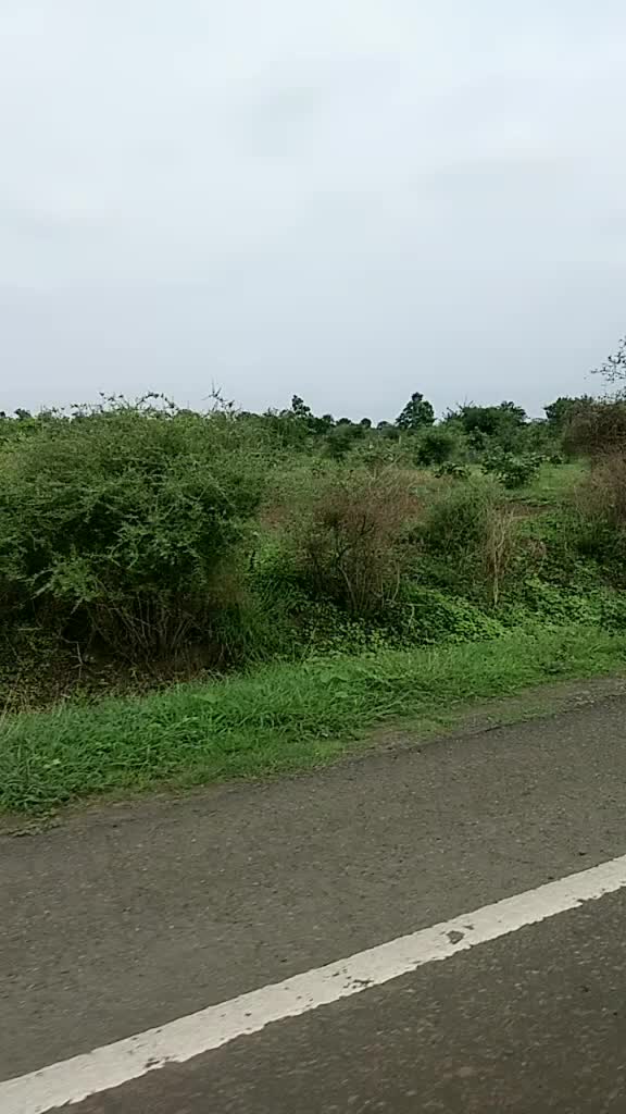 @kshitija patil